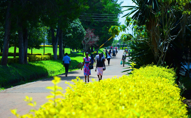School of Education