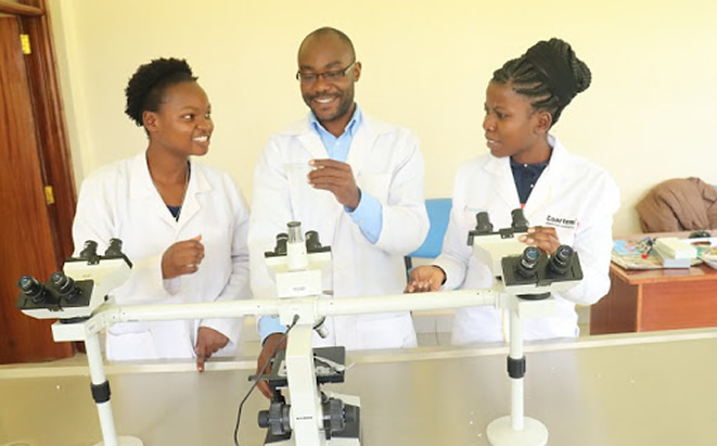 School of Natural Sciences