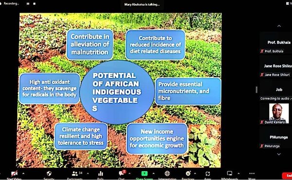 MMUST’s Institute of Indigenous Knowledge and Cultural Studies Conducts Webinar on Harnessing Indigenous Foods for Food Security and Disease Prevention, in Collaboration With the School of Public Health